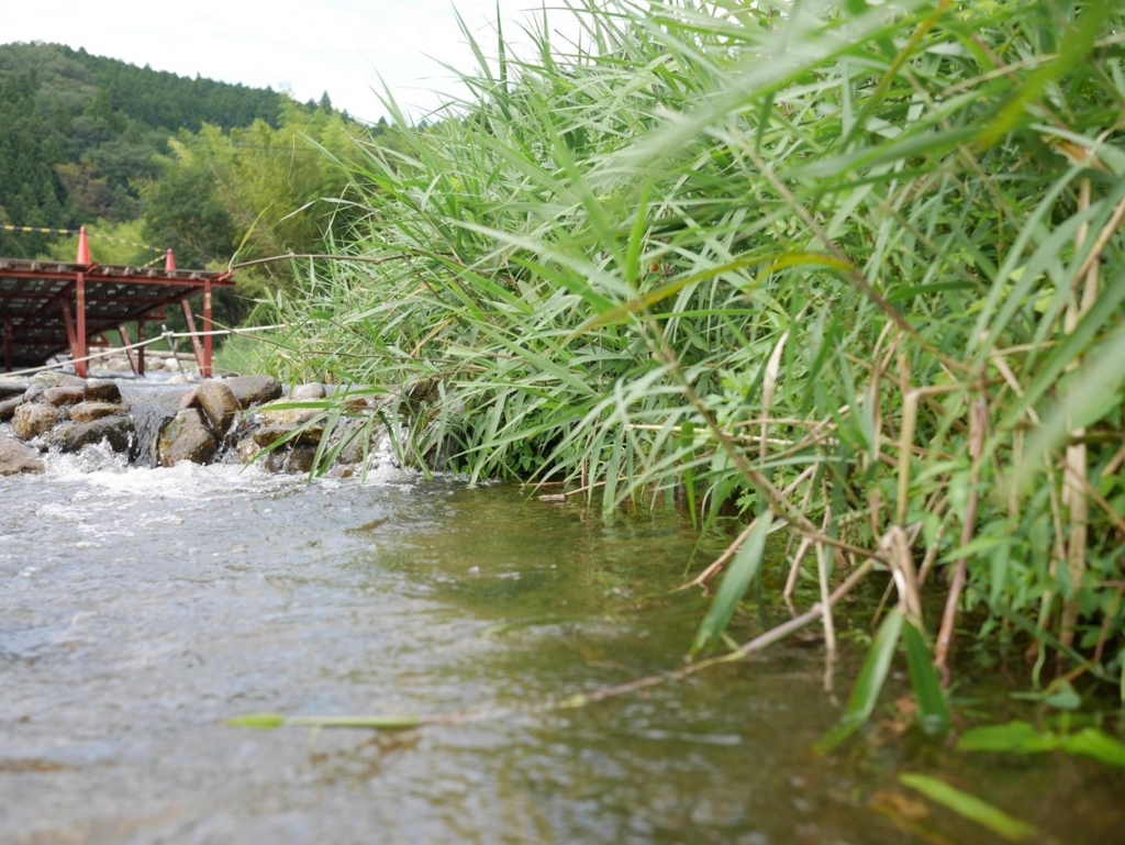 f:id:shidoromodoki:20171214184758j:plain