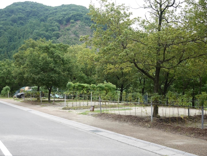 f:id:shidoromodoki:20190822160631j:plain