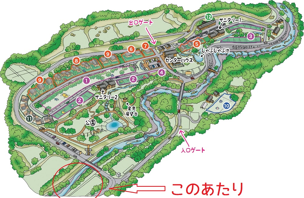 f:id:shidoromodoki:20190822171610j:plain