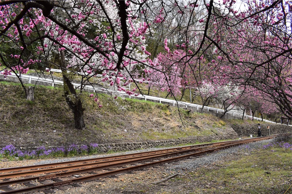 f:id:shifen2218:20190425112043j:image f:id:shifen2218:20190425112043j:image