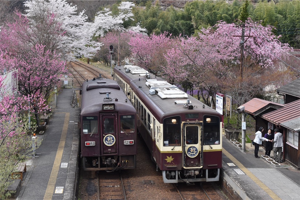f:id:shifen2218:20190425112054j:image f:id:shifen2218:20190425112054j:image