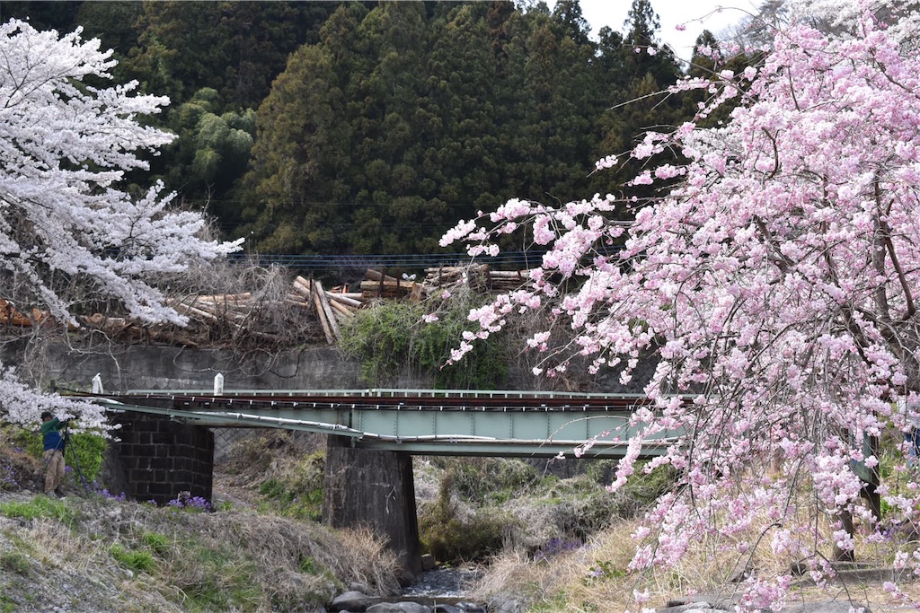 f:id:shifen2218:20190425112106j:image f:id:shifen2218:20190425112106j:image