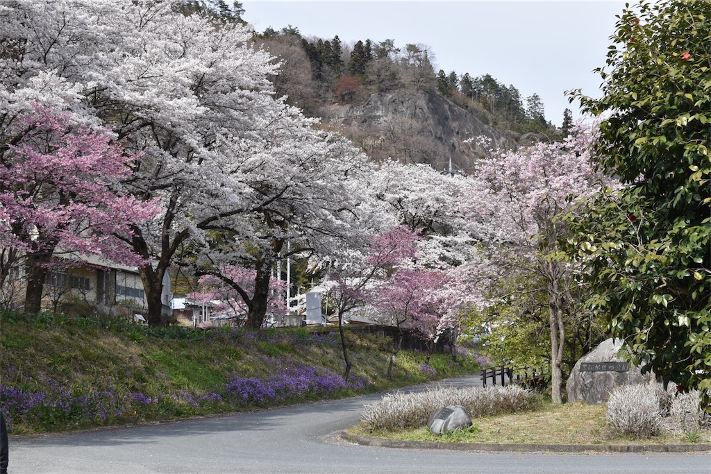 f:id:shifen2218:20190425112158j:image f:id:shifen2218:20190425112158j:image