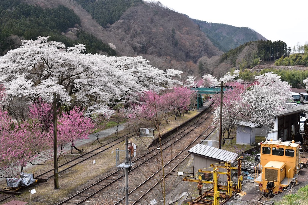 f:id:shifen2218:20190425112218j:image f:id:shifen2218:20190425112218j:image