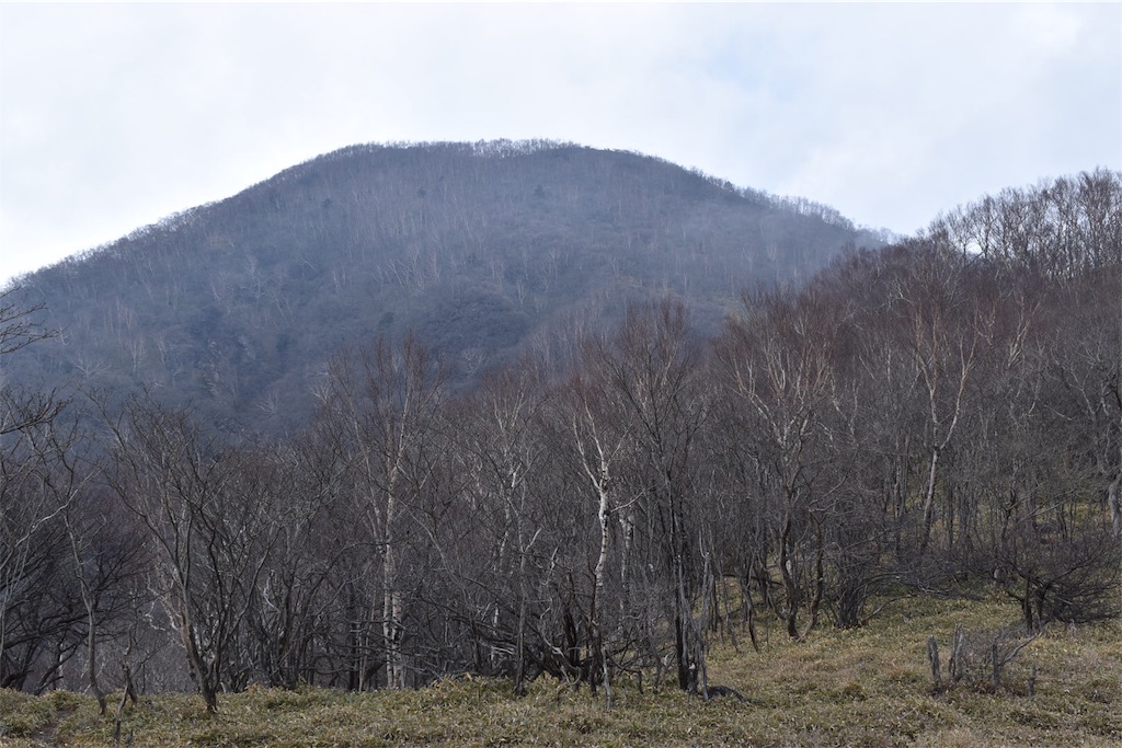 f:id:shifen2218:20190508174226j:image f:id:shifen2218:20190508174226j:image