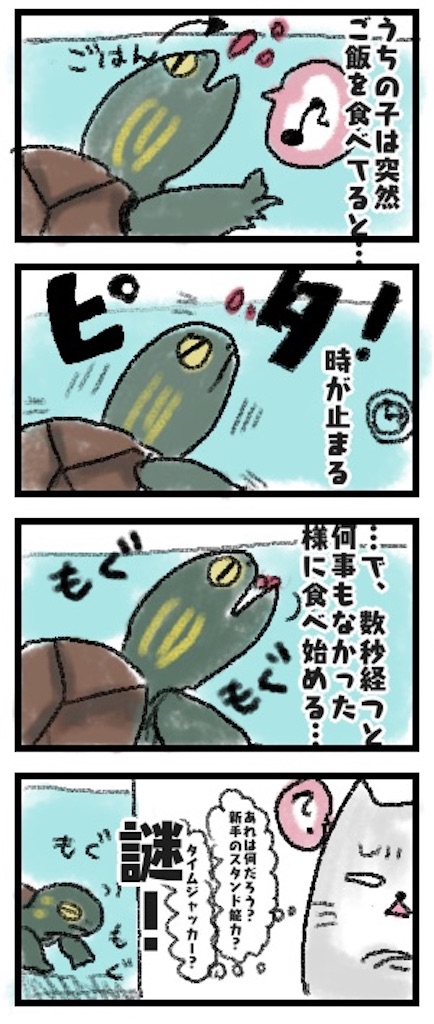 f:id:shifon611:20200829141810j:image f:id:shifon611:20200829141810j:image