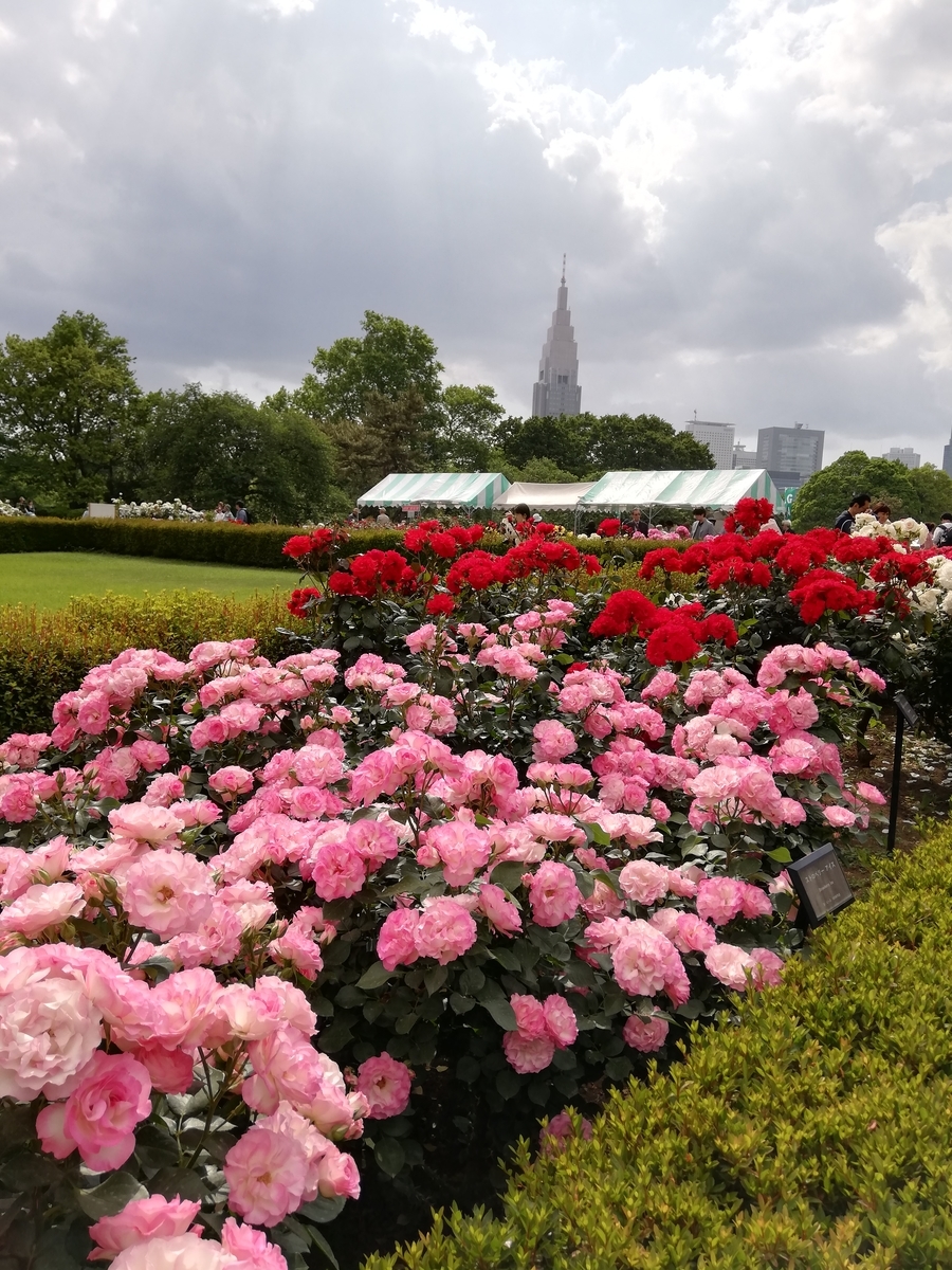 f:id:shiftchang:20190519214048j:plain