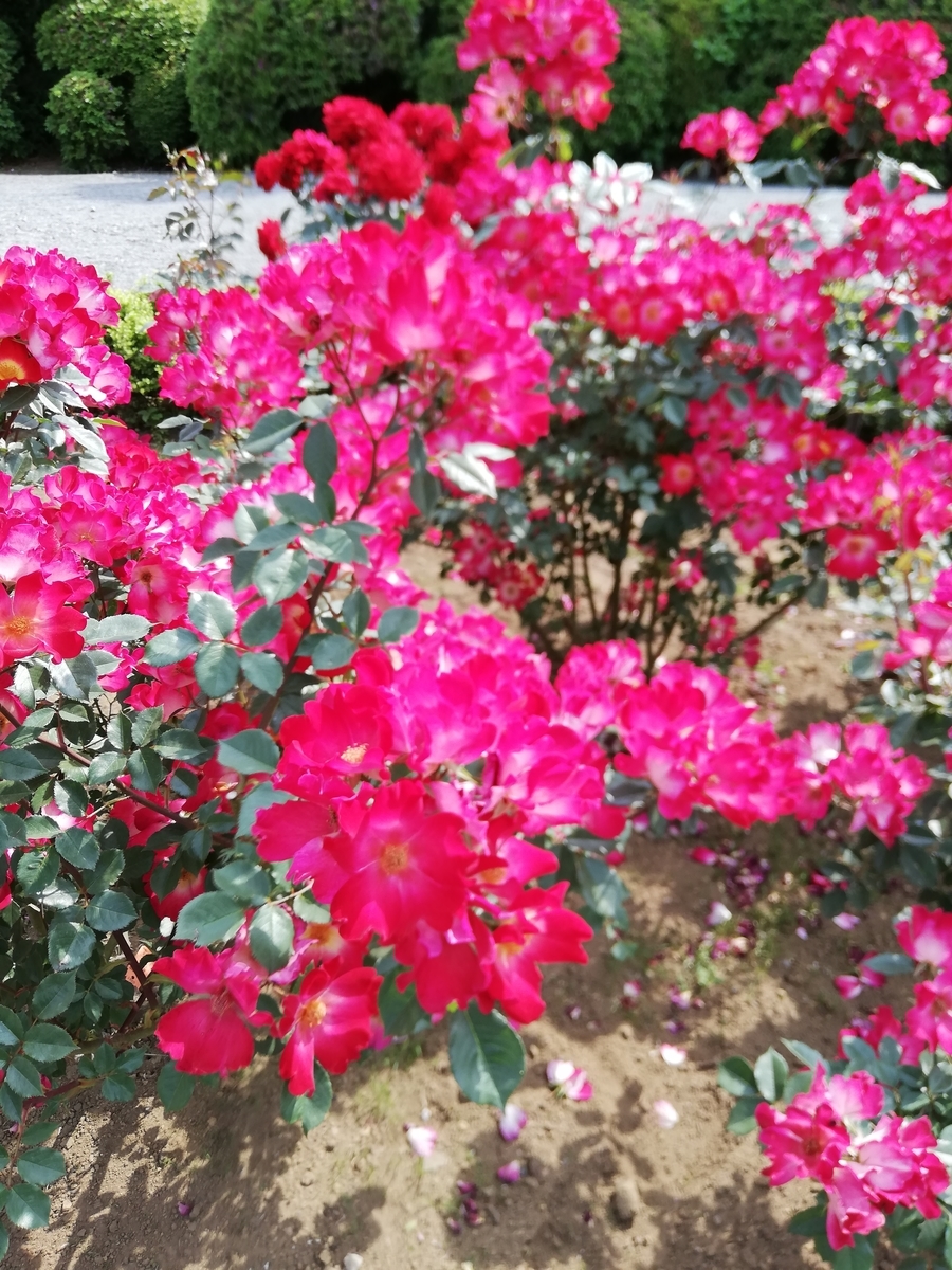 f:id:shiftchang:20190528213437j:plain