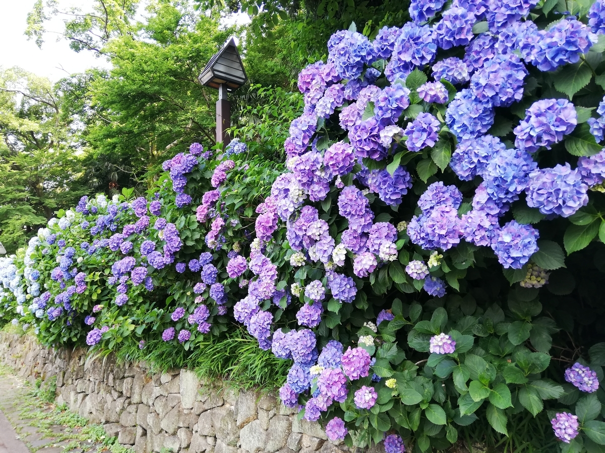 f:id:shiftchang:20190610192035j:plain