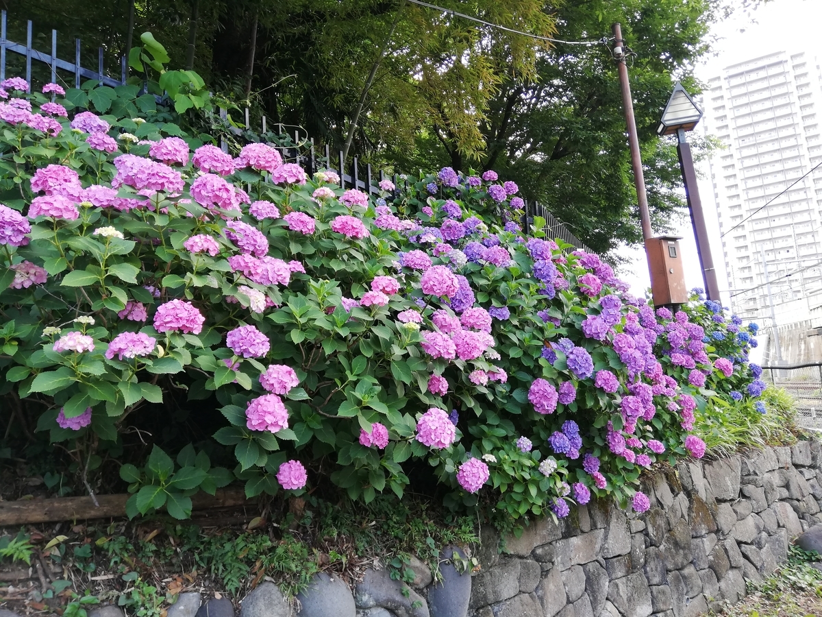 f:id:shiftchang:20190610193204j:plain