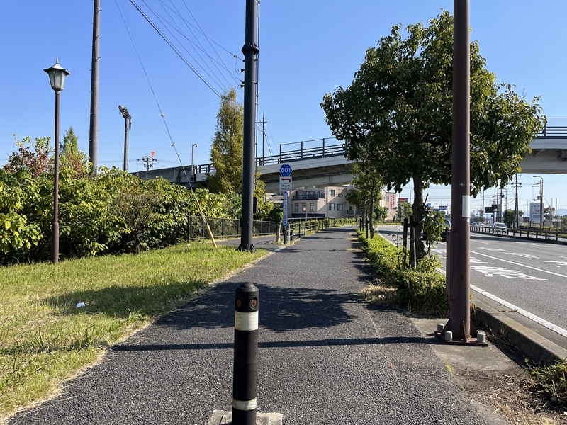 自転車走行空間が整備された守山市の道路風景