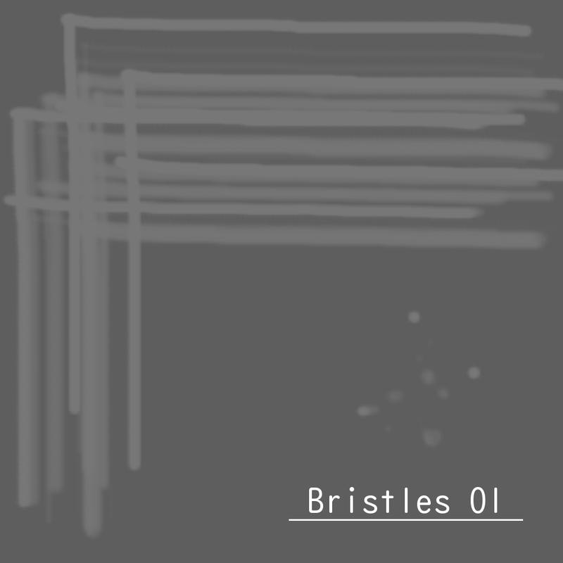 毛　Bristles 01の画像