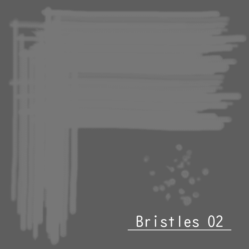 毛　Bristles 02の画像