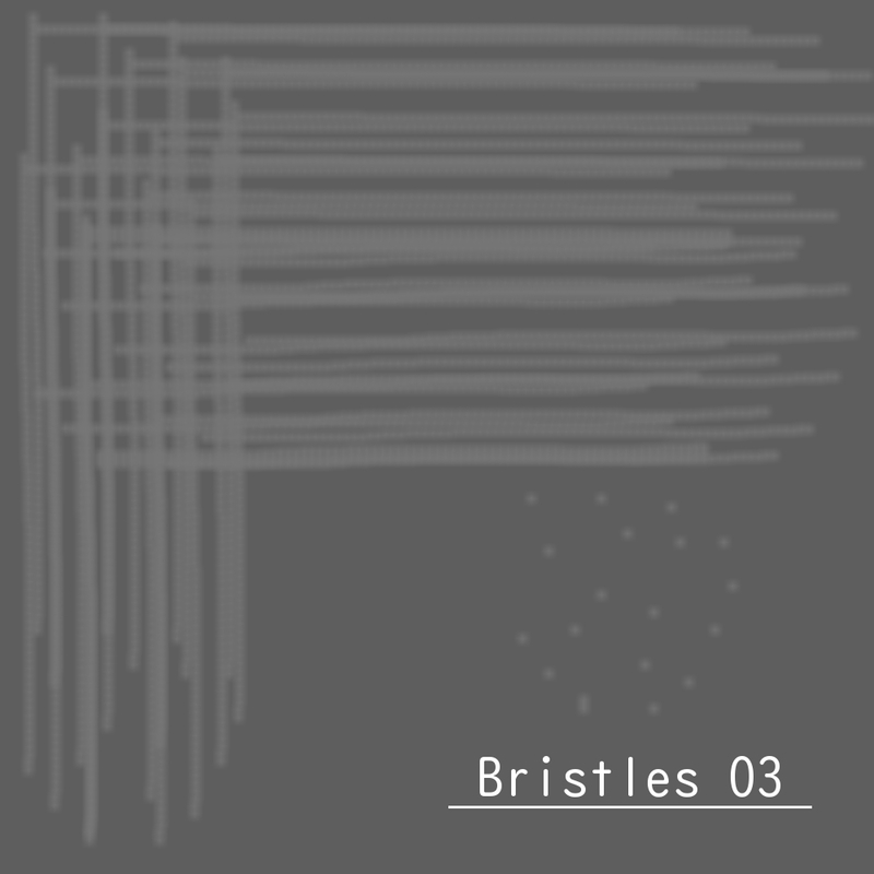 毛　Bristles 03の画像