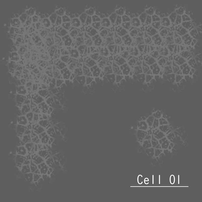 細胞　Cell 01の画像