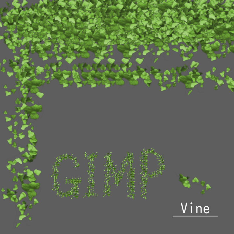 植物　Vineの画像