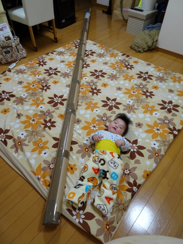 f:id:shiga626Lab:20161202184347j:image