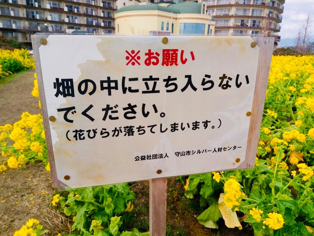 f:id:shigadekosodate:20190205124008j:plain