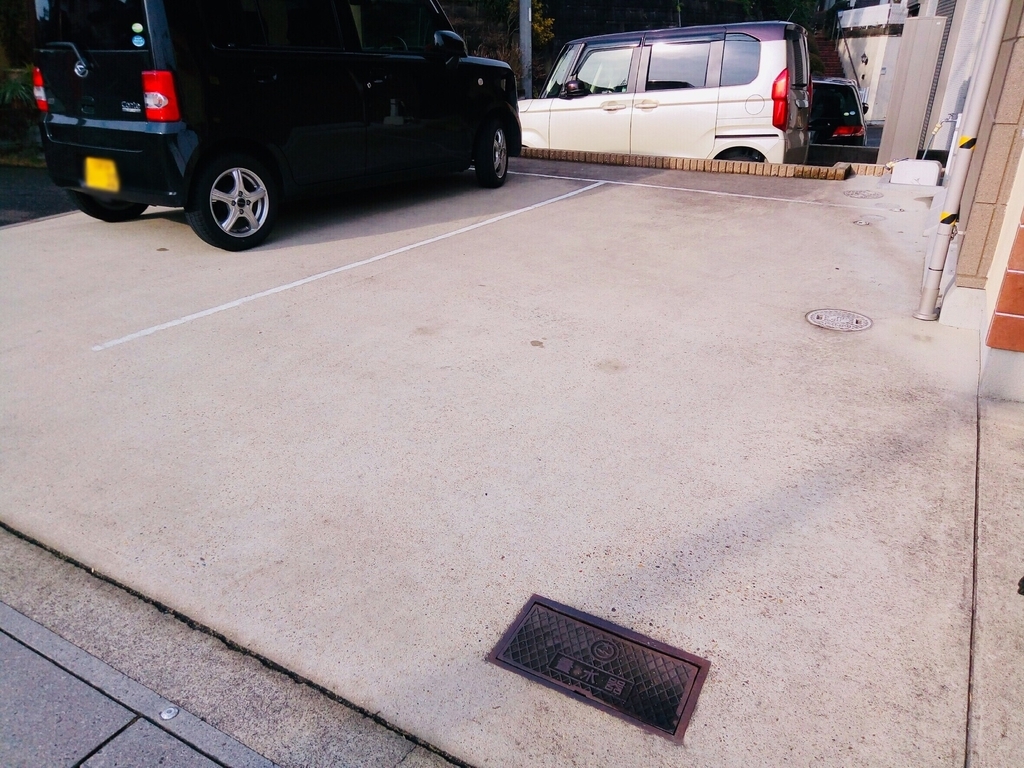 f:id:shigadekosodate:20190207212932j:plain