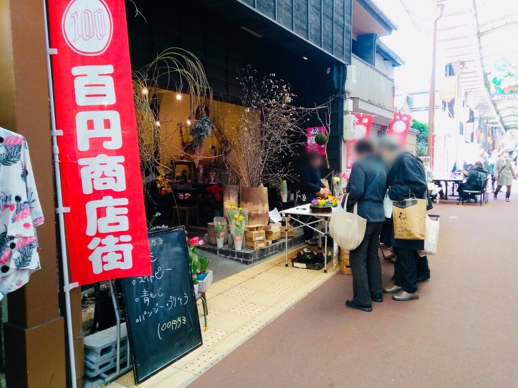 f:id:shigadekosodate:20190306105154j:plain