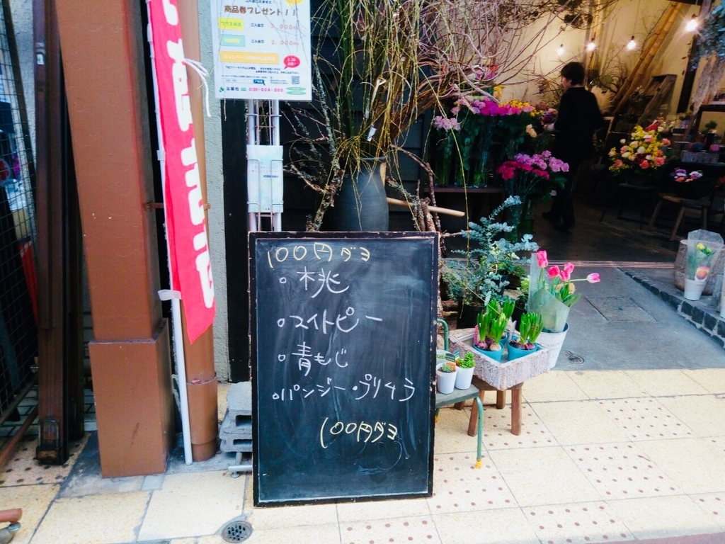 f:id:shigadekosodate:20190306105203j:plain
