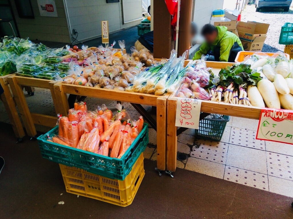 f:id:shigadekosodate:20190306105226j:plain