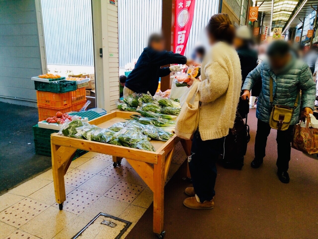 f:id:shigadekosodate:20190306105230j:plain
