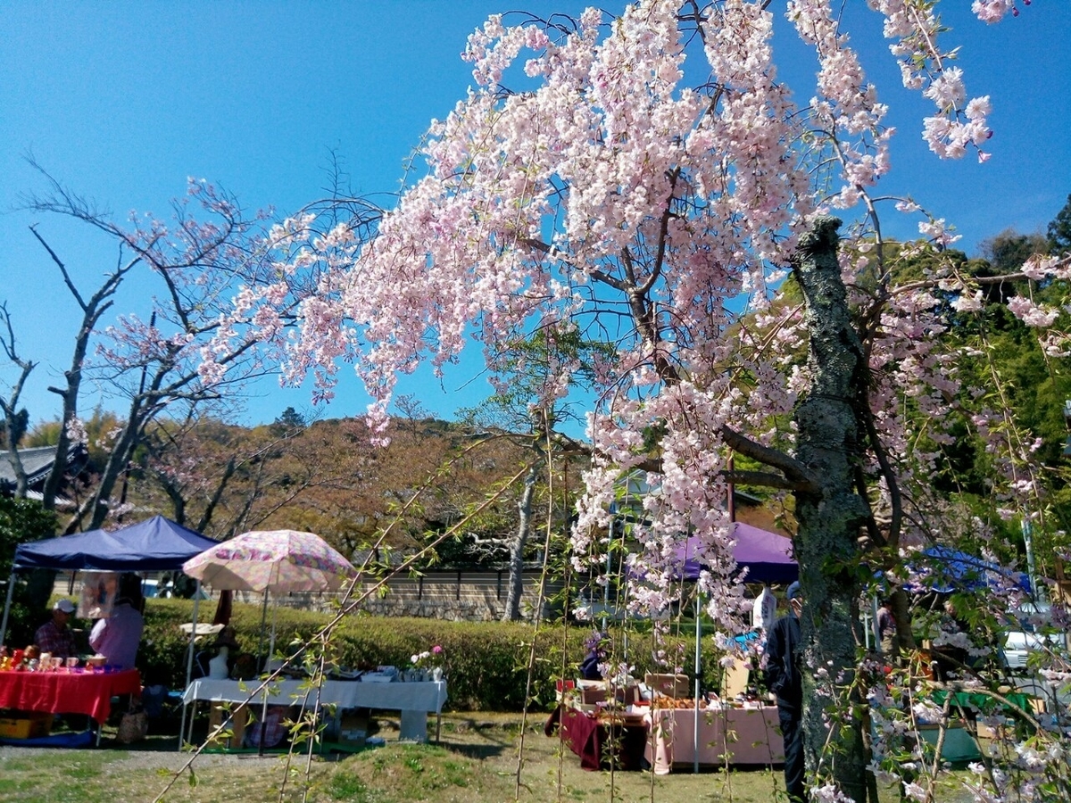 f:id:shigadekosodate:20190419055927j:plain