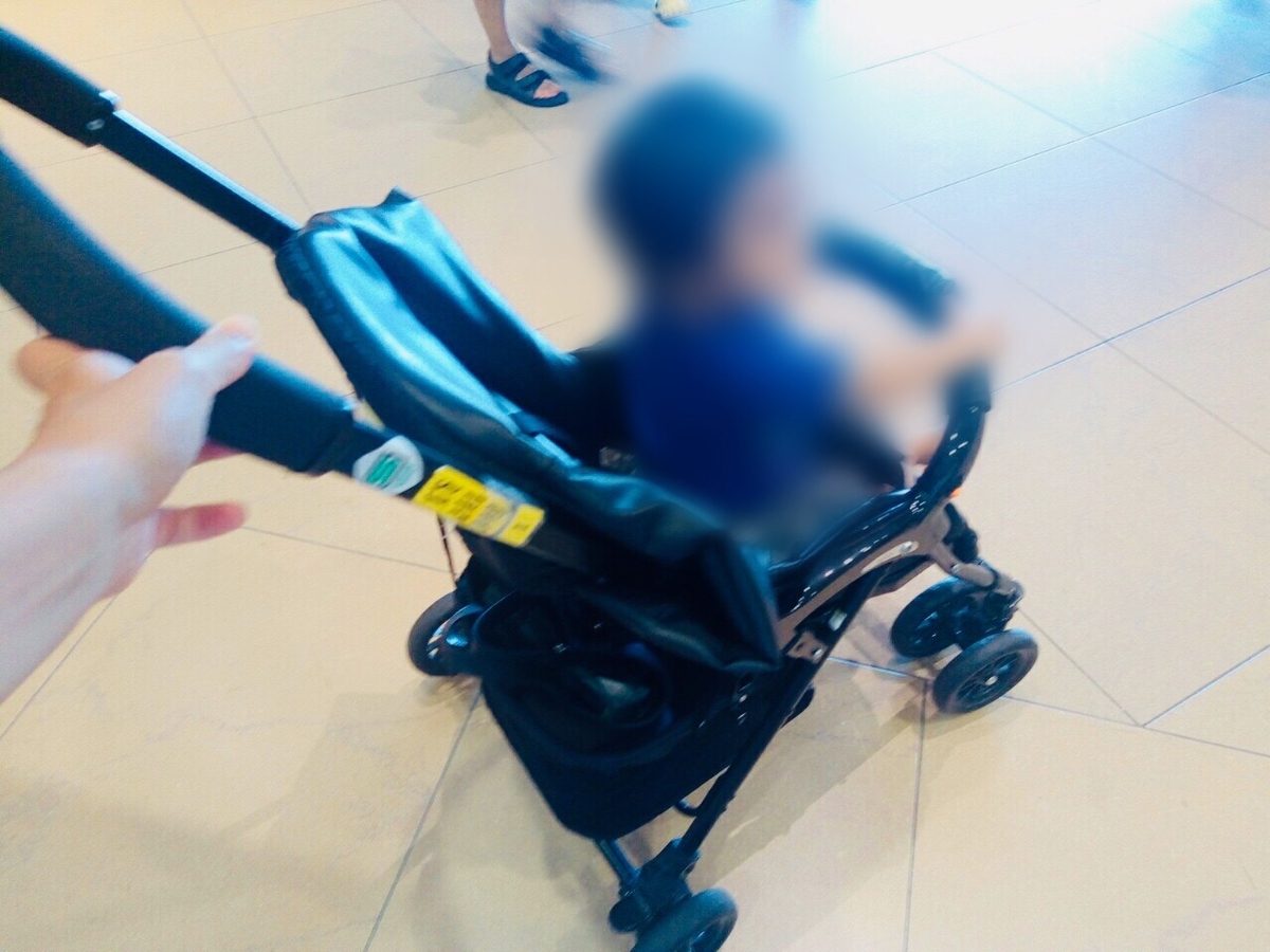f:id:shigadekosodate:20190818224429j:plain