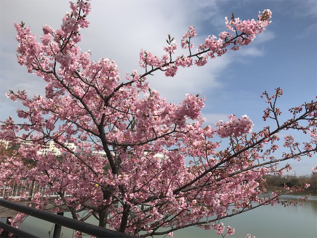 f:id:shigakkan-u-k:20210301153257j:image f:id:shigakkan-u-k:20210301153257j:image