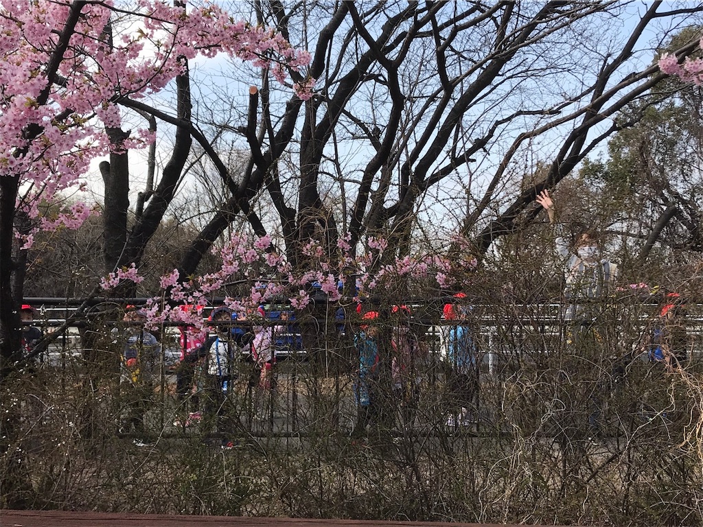 f:id:shigakkan-u-k:20210301162153j:image f:id:shigakkan-u-k:20210301162153j:image
