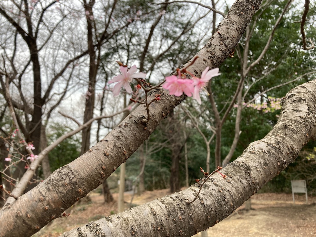 f:id:shigakkan-u-k:20210304170721j:image f:id:shigakkan-u-k:20210304170721j:image