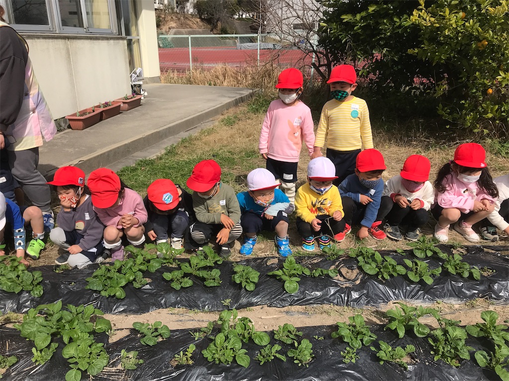 f:id:shigakkan-u-k:20210317135948j:image