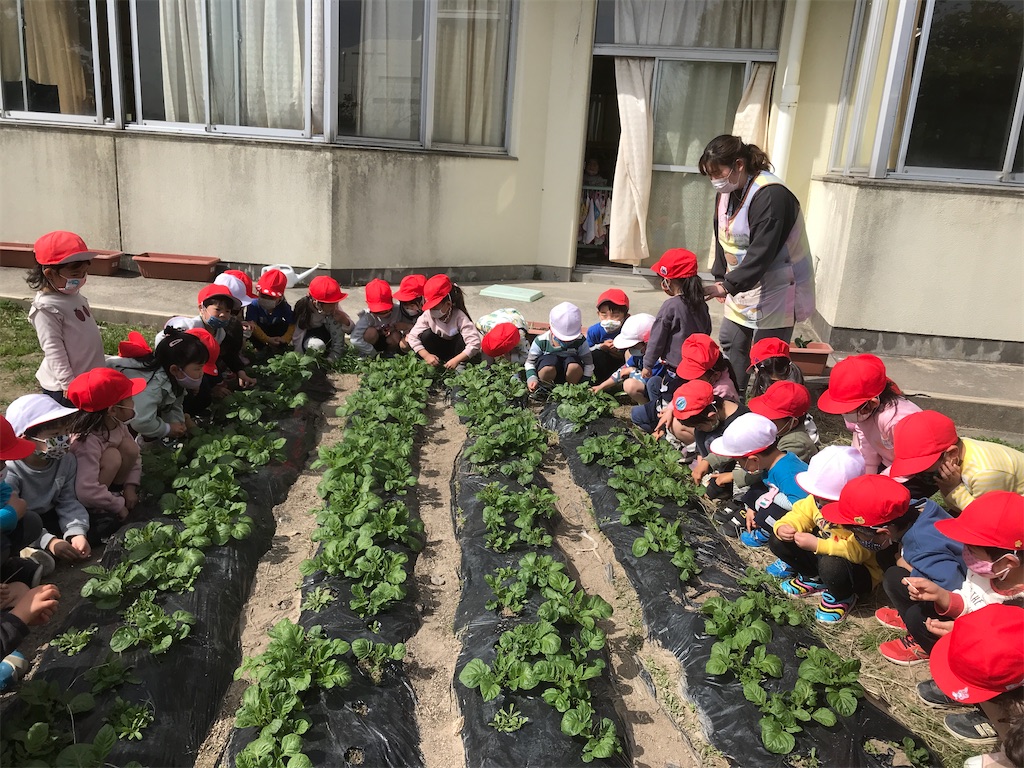 f:id:shigakkan-u-k:20210317140210j:image