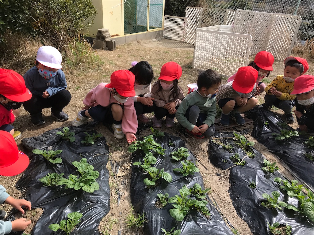 f:id:shigakkan-u-k:20210317140213j:image