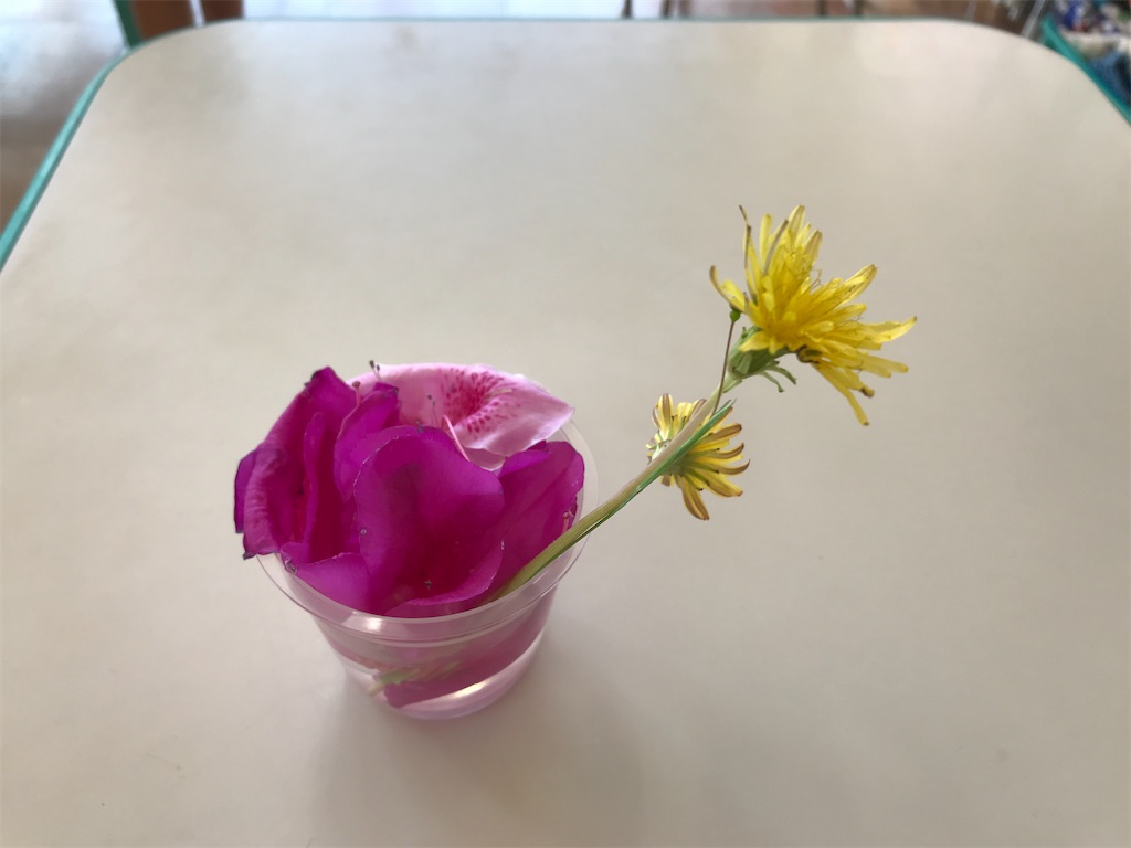 f:id:shigakkan-u-k:20210421084832j:image f:id:shigakkan-u-k:20210421084832j:image