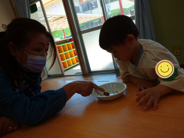 f:id:shigakkan-u-k:20210510193836j:plain