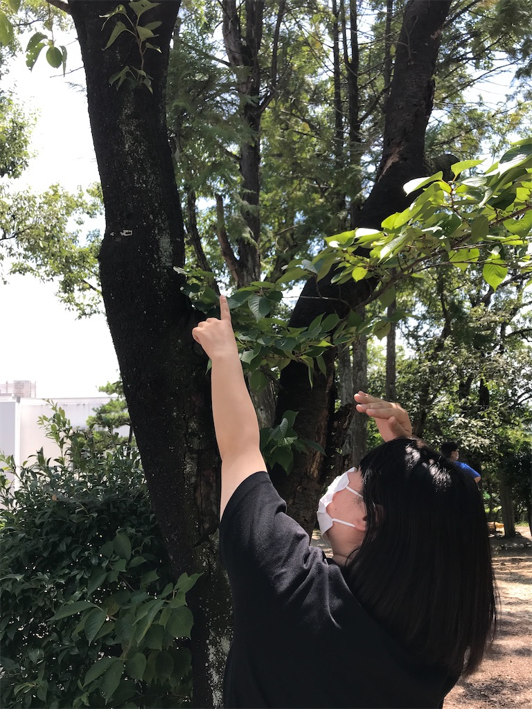 f:id:shigakkan-u-k:20210805231508j:image f:id:shigakkan-u-k:20210805231508j:image