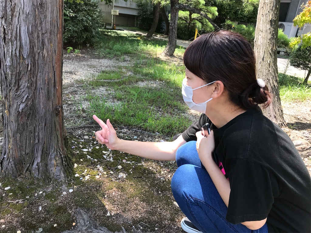 f:id:shigakkan-u-k:20210805231512j:image f:id:shigakkan-u-k:20210805231512j:image