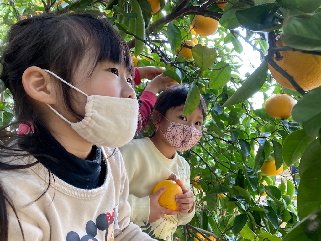 f:id:shigakkan-u-k:20220118172113j:image f:id:shigakkan-u-k:20220118172113j:image