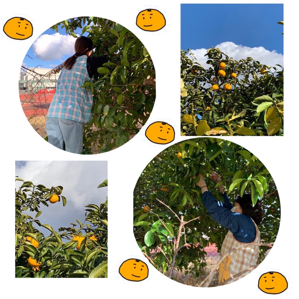 f:id:shigakkan-u-k:20220119145020j:image f:id:shigakkan-u-k:20220119145020j:image