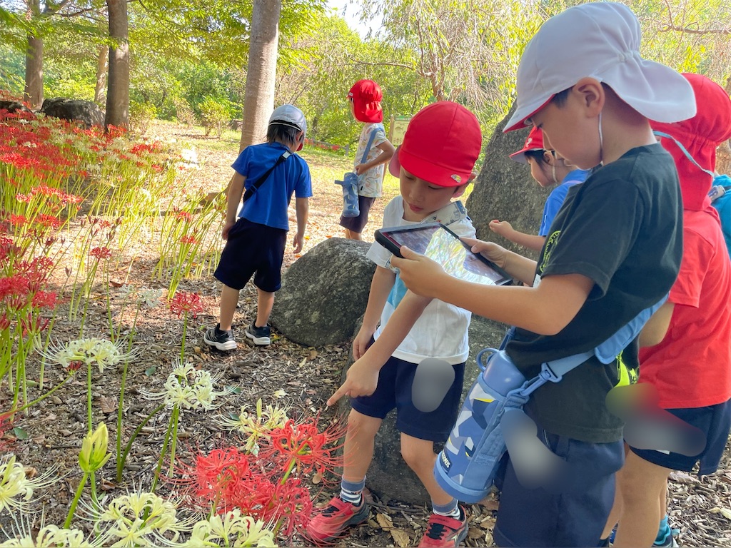 f:id:shigakkan-u-k:20241006093510j:image f:id:shigakkan-u-k:20241006093510j:image