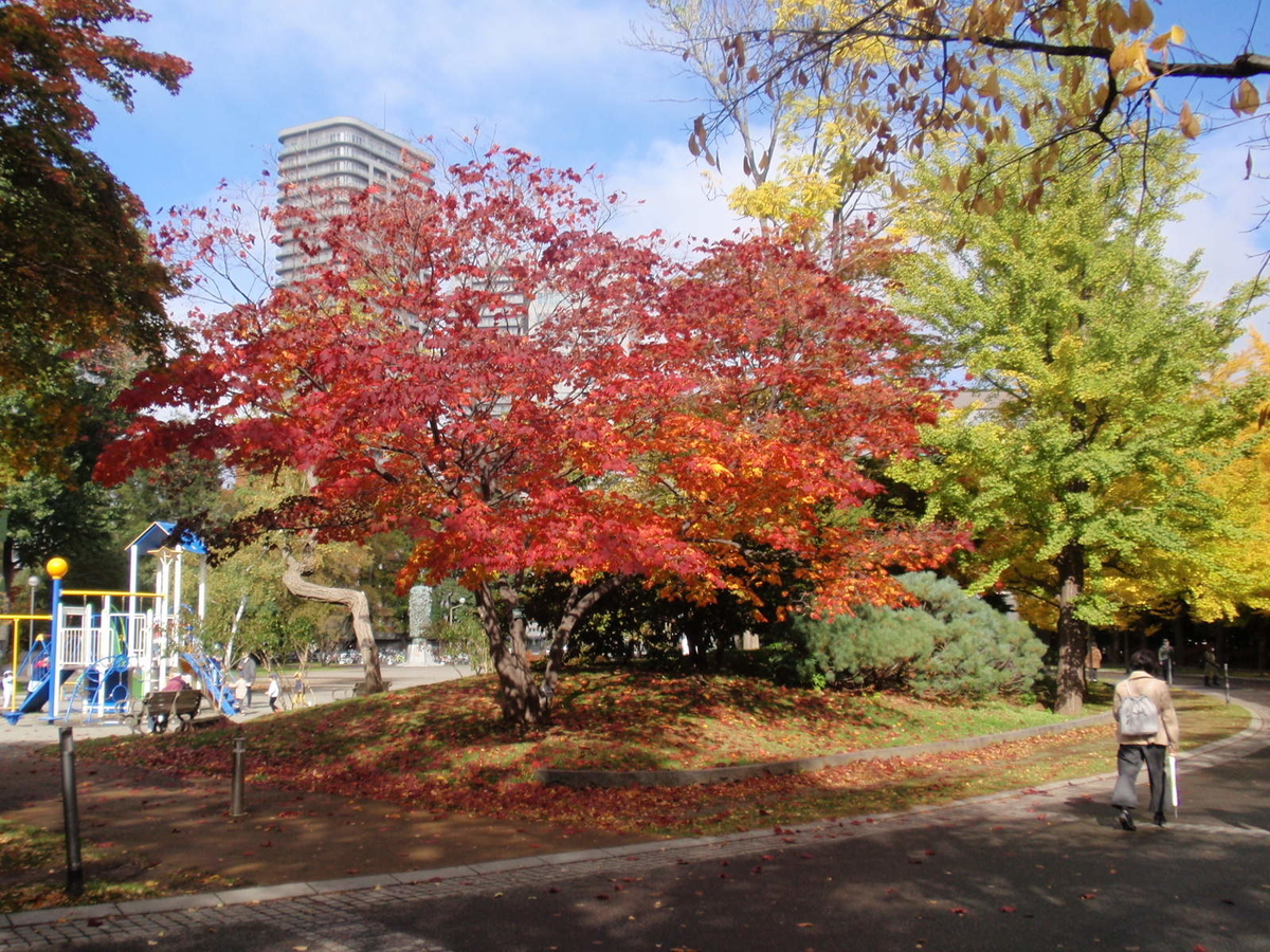 f:id:shigakuseminar:20201026150353j:plain f:id:shigakuseminar:20201026150353j:plain