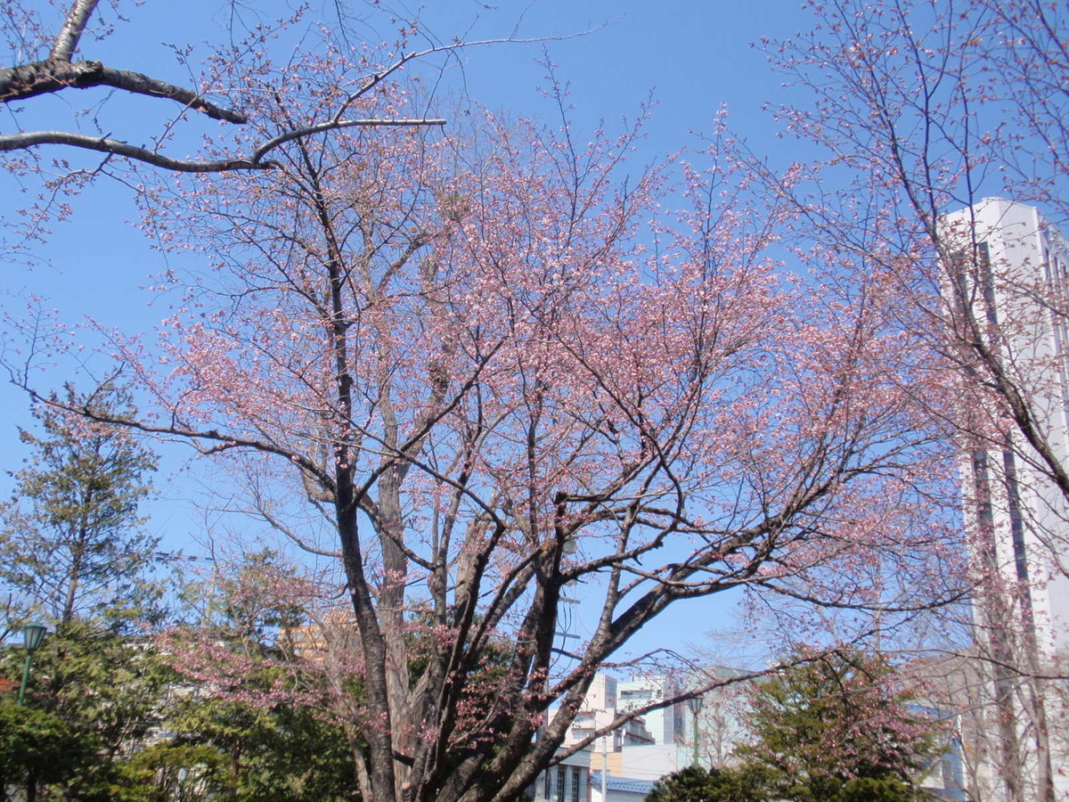 f:id:shigakuseminar:20210421131325j:plain