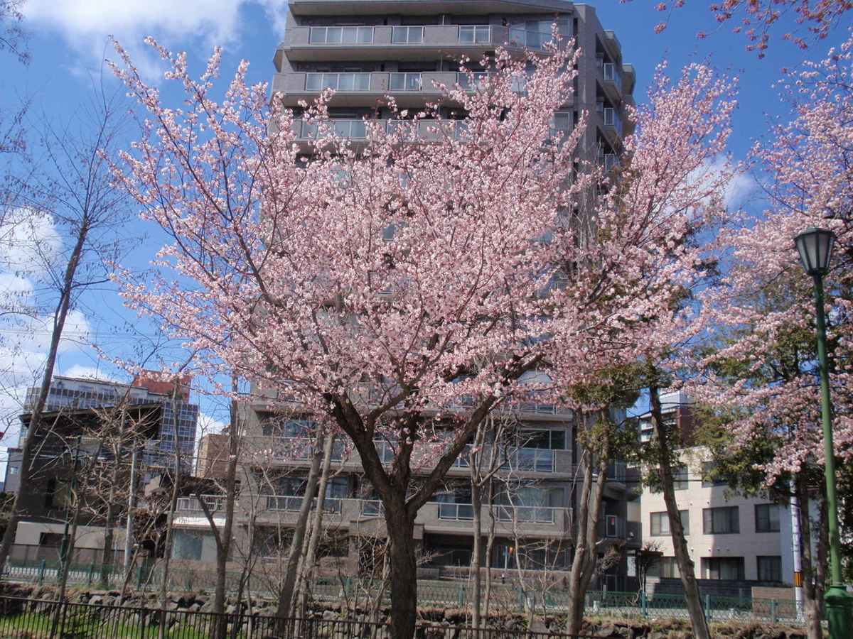f:id:shigakuseminar:20210426132327j:plain