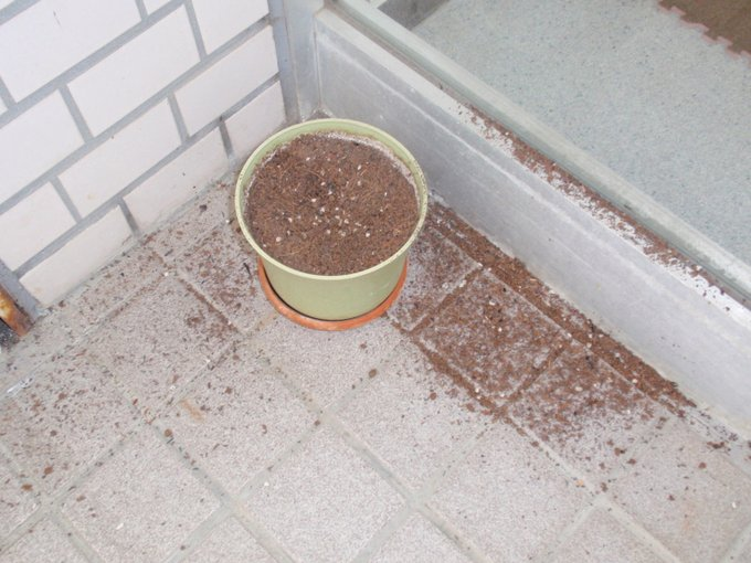 f:id:shigakuseminar:20210923162605p:plain