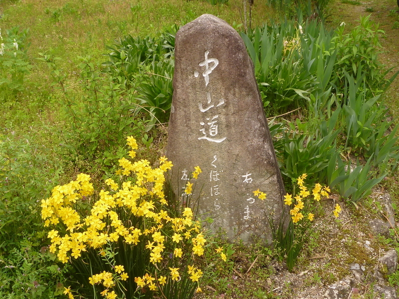 イメージ 10