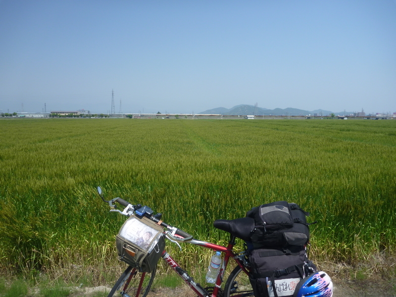 イメージ 8