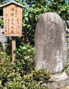 イメージ 11