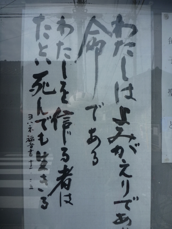 イメージ 7
